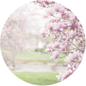 Begin self healing by listening within